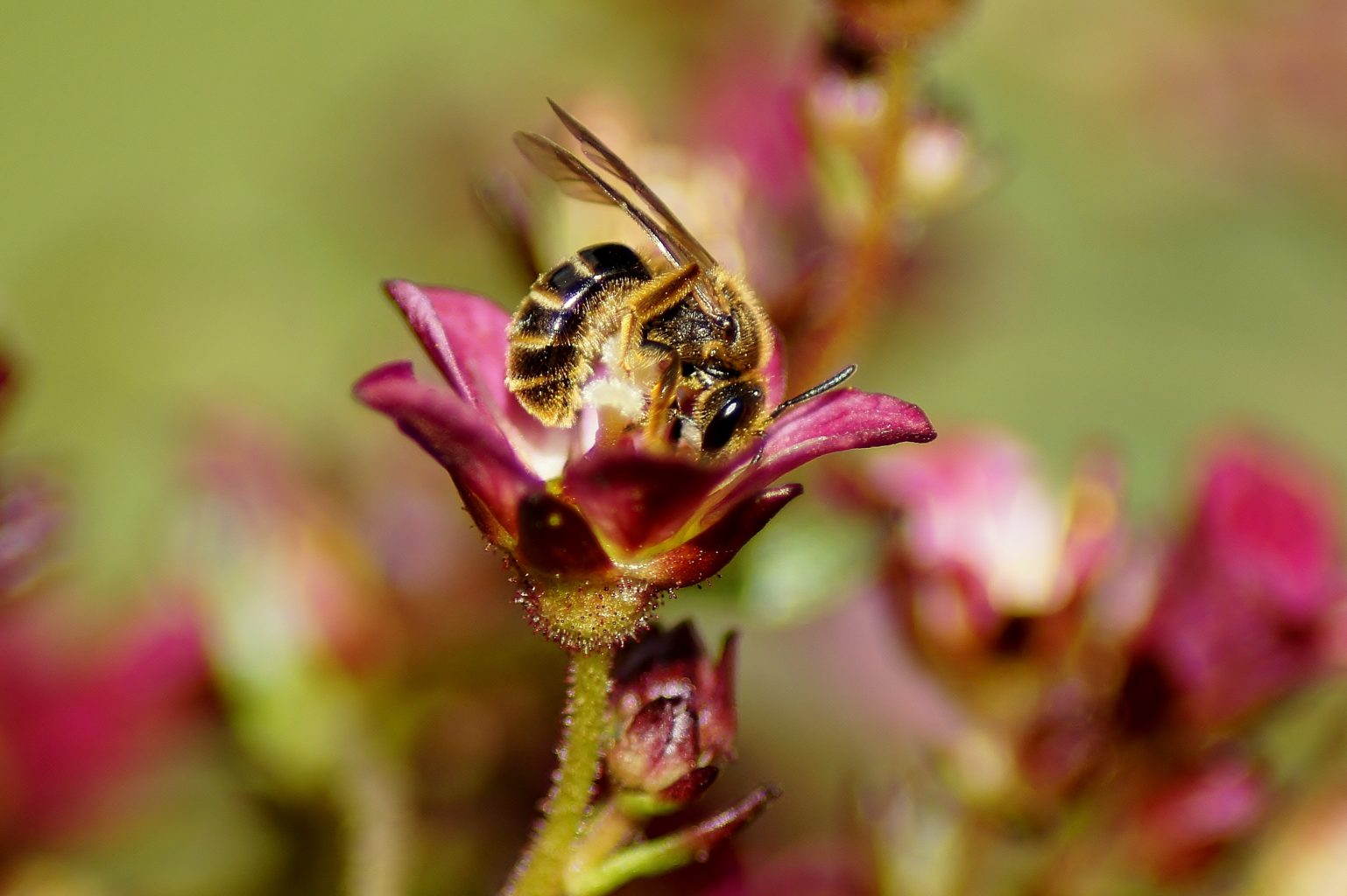 Valokuvaaja: Tuulikki Piikkilä