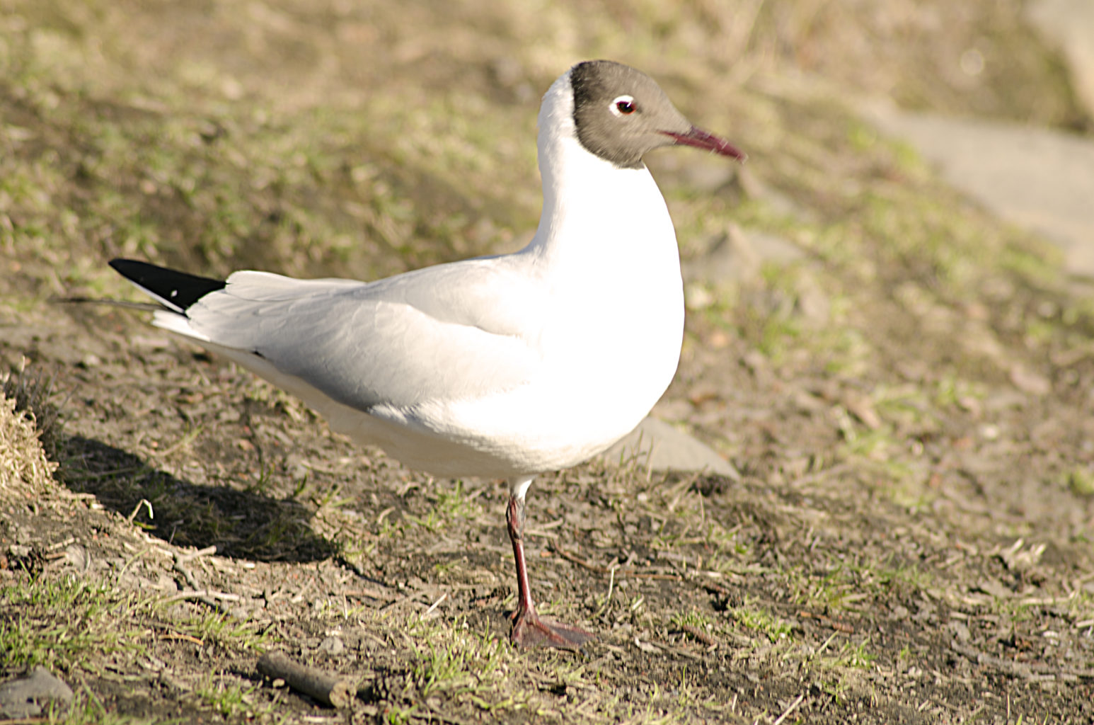 Valokuvaaja: Jouni Marttila