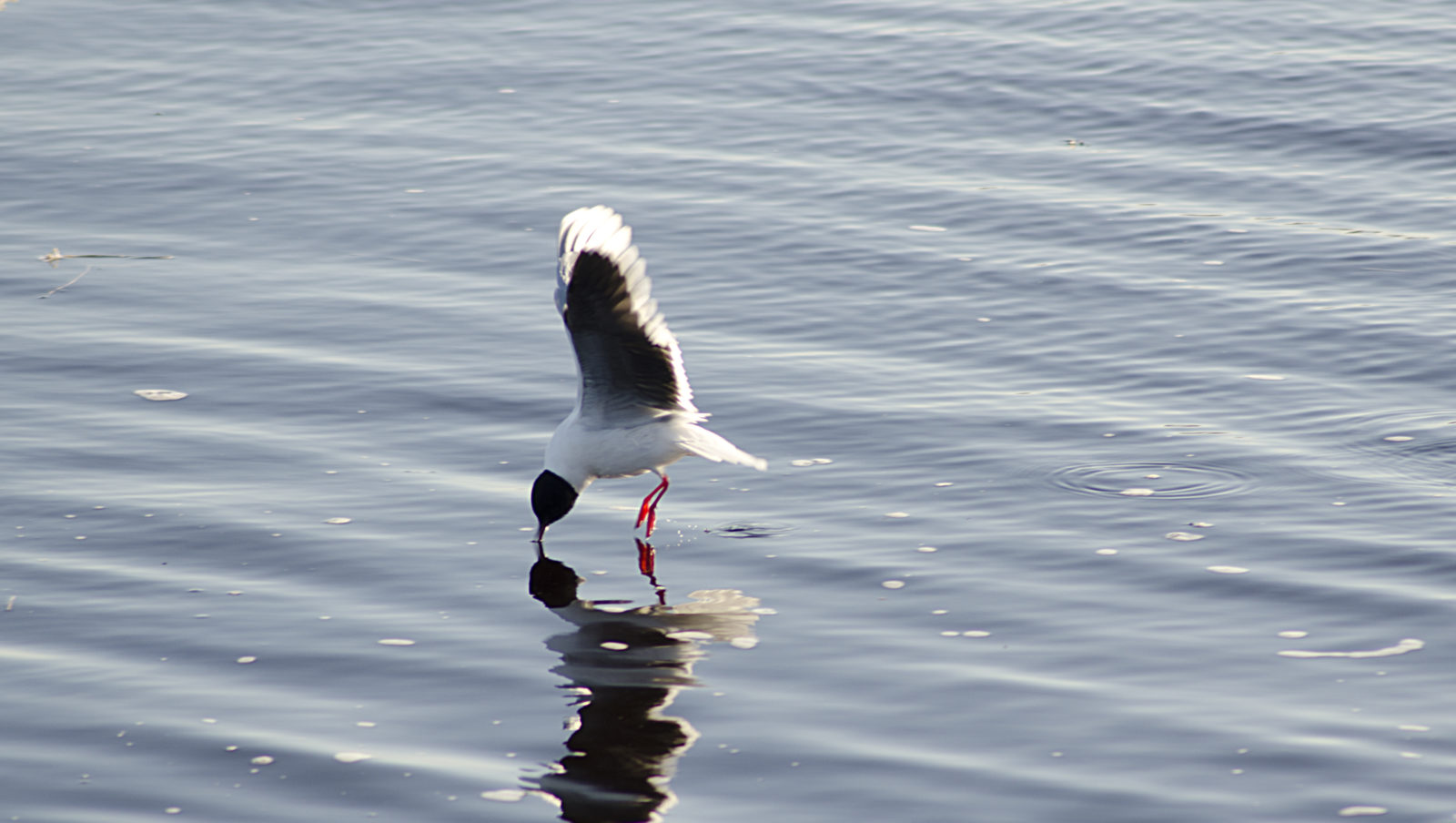 Valokuvaaja: Jouni Marttila