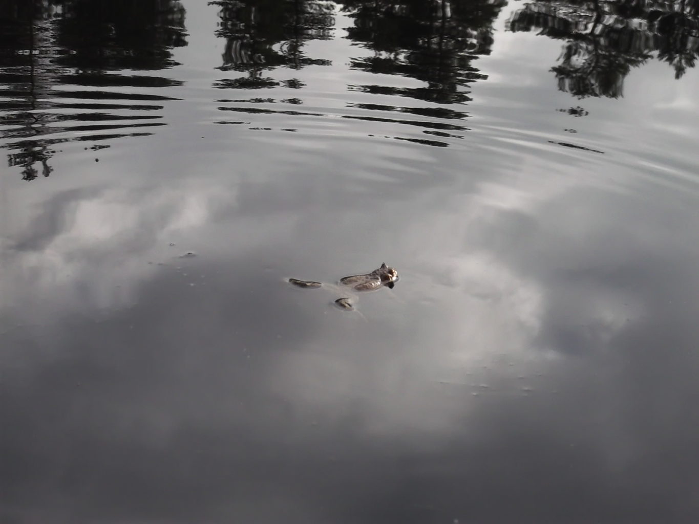 Valokuvaaja: Heli Heiniö