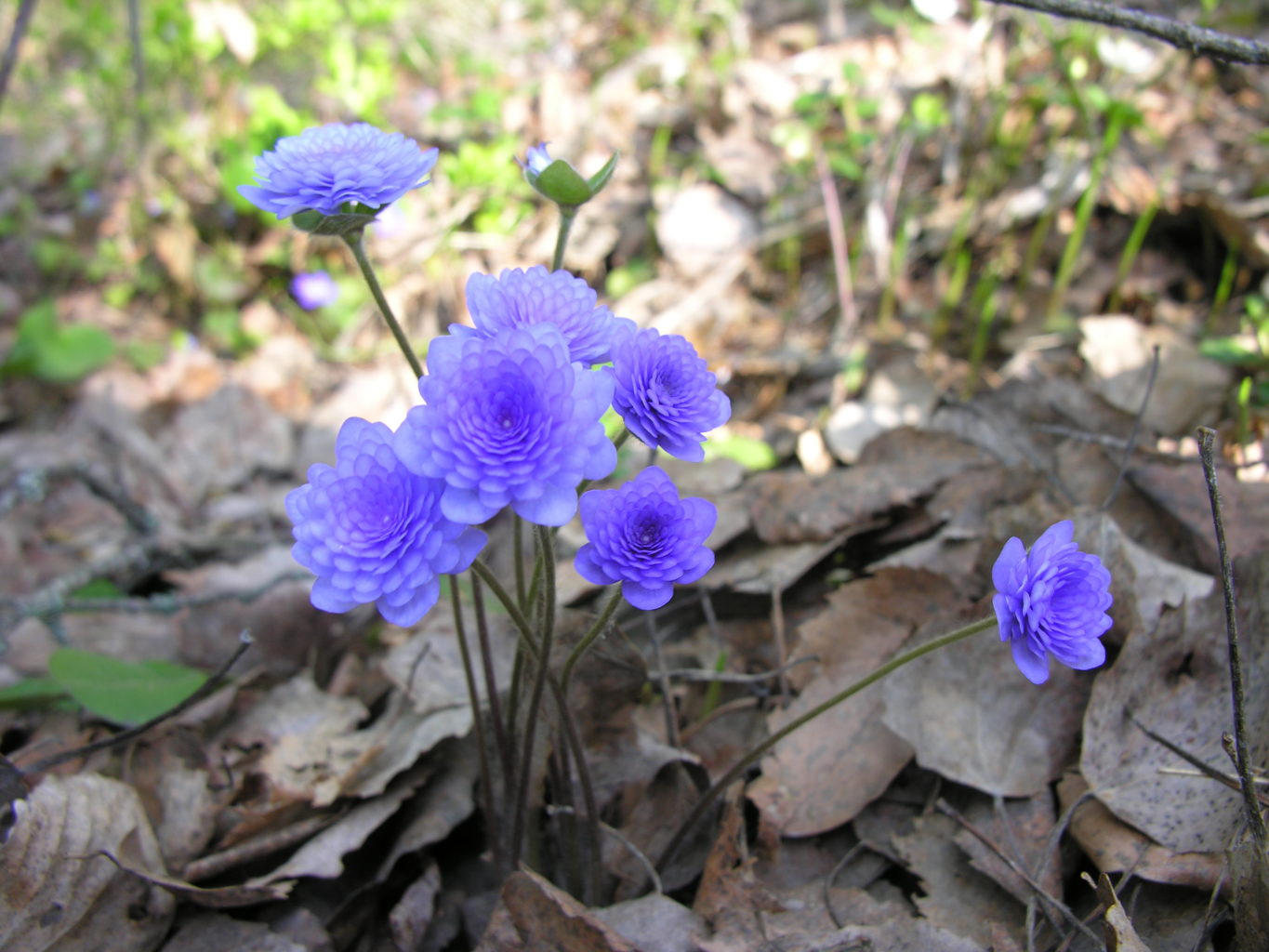 Valokuvaaja: Jussi Viitala