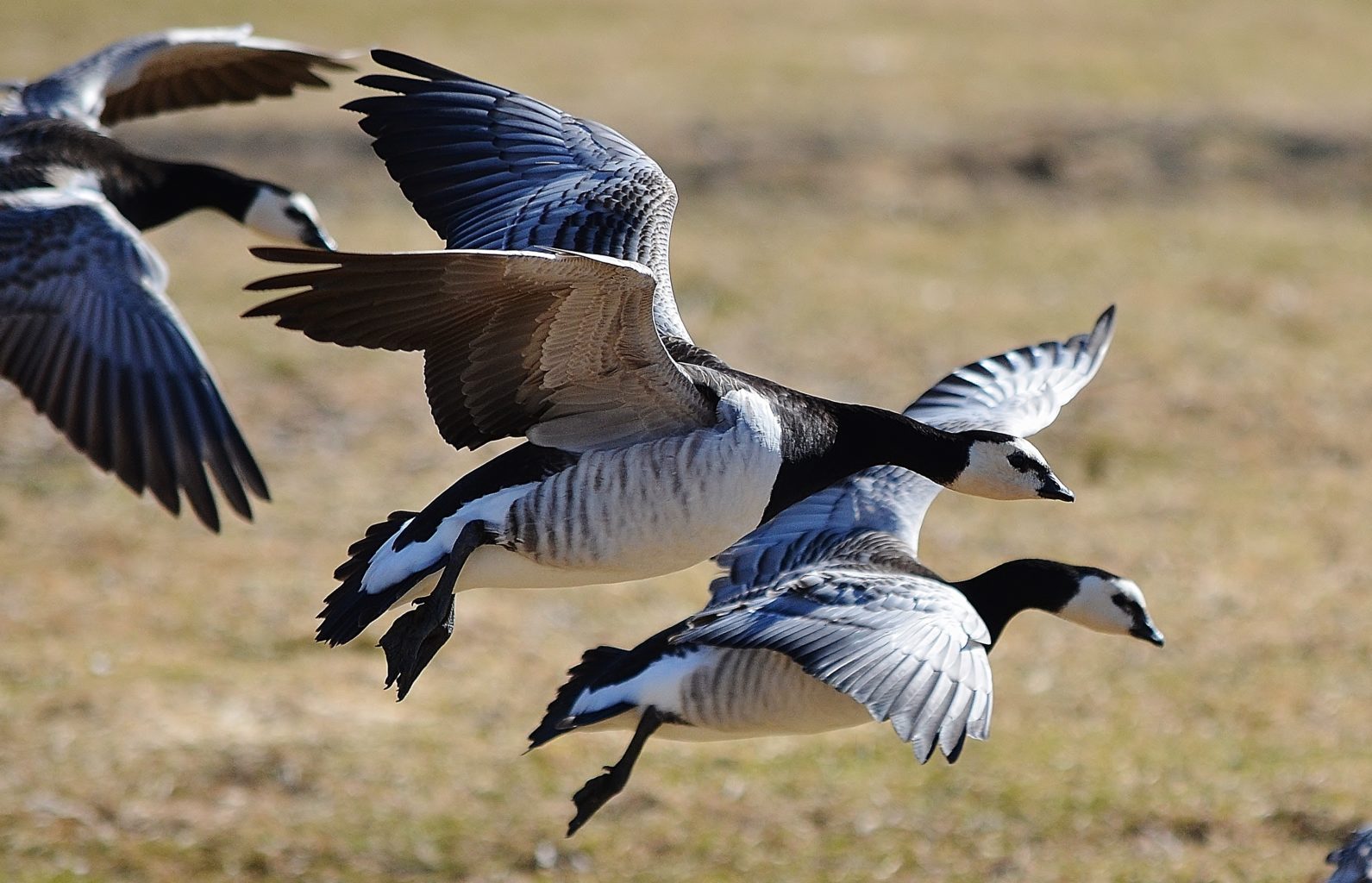 Valokuvaaja: Annika Rantala
