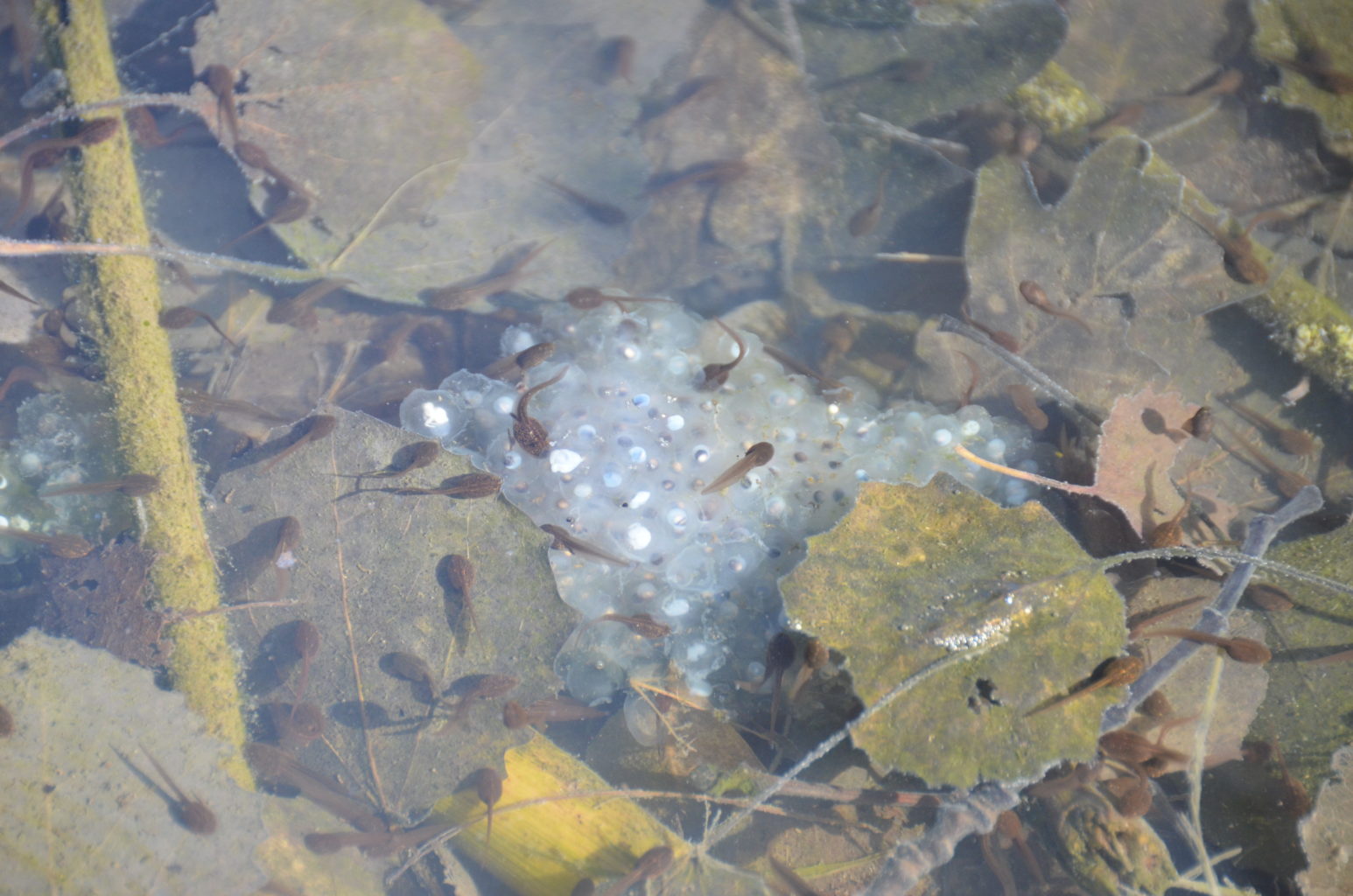 Valokuvaaja: Hanna Voutilainen Valokuvaaja: Hanna Voutilainen