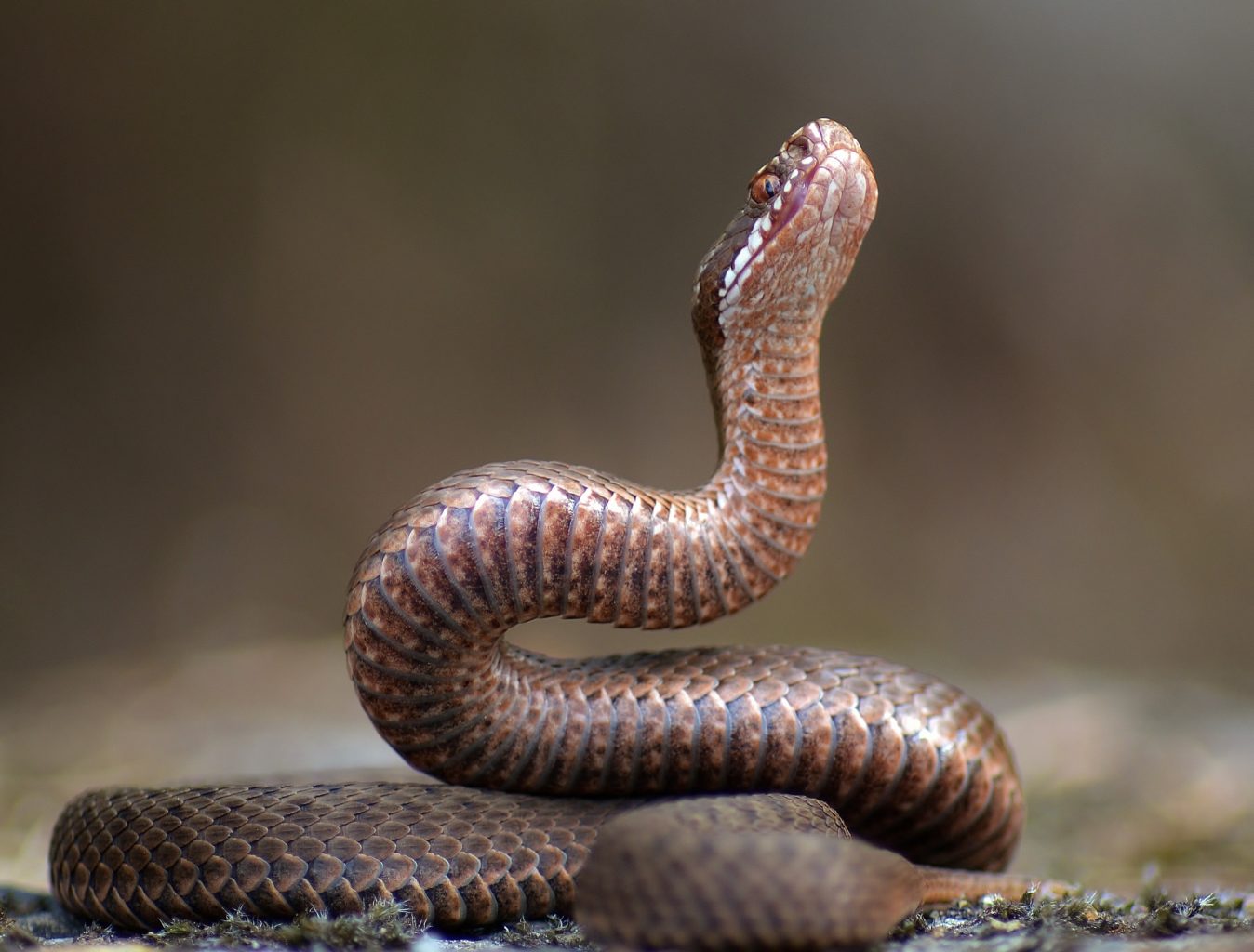 Valokuvaaja: Marjut Martikainen