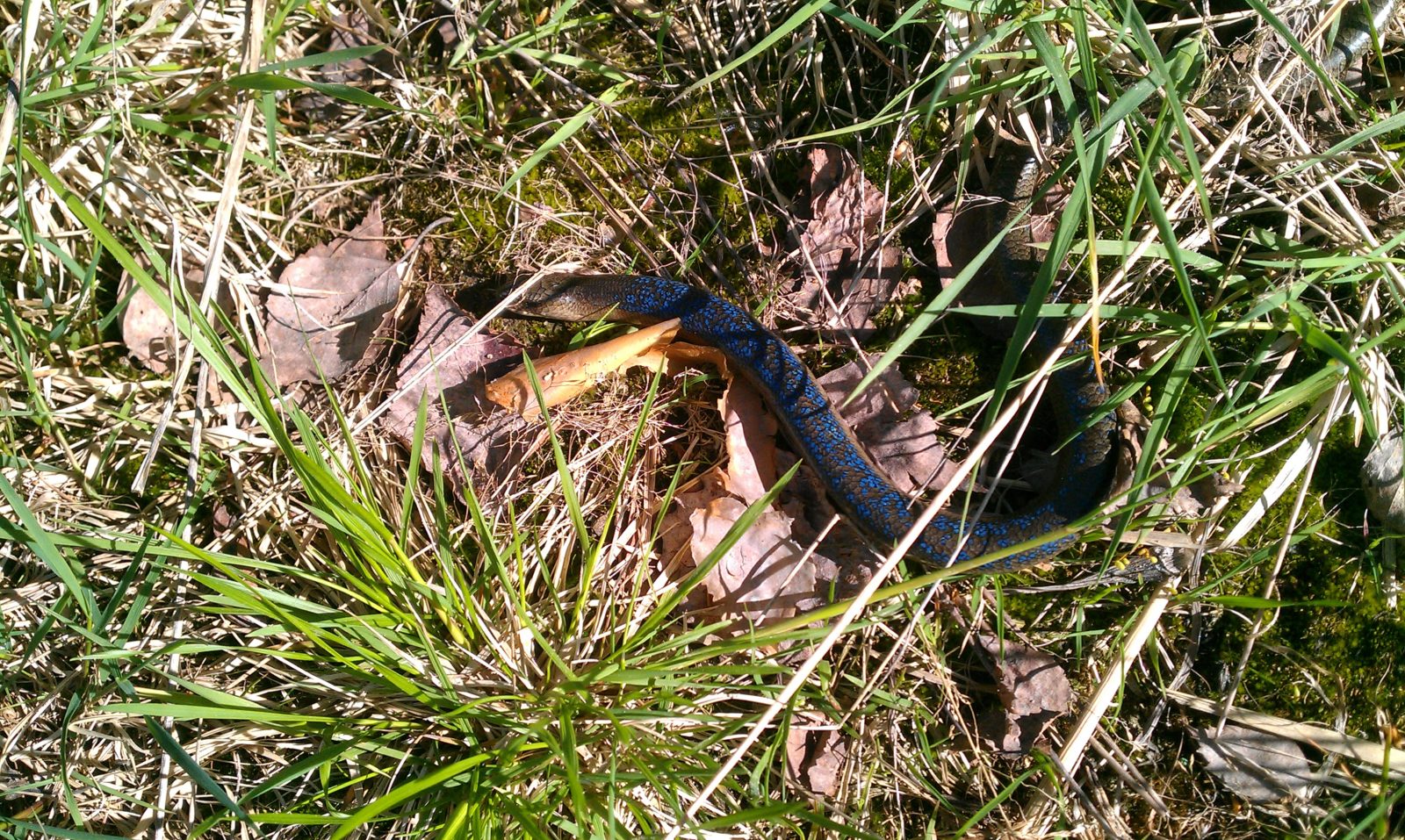 Valokuvaaja: Pekka Venäläinen