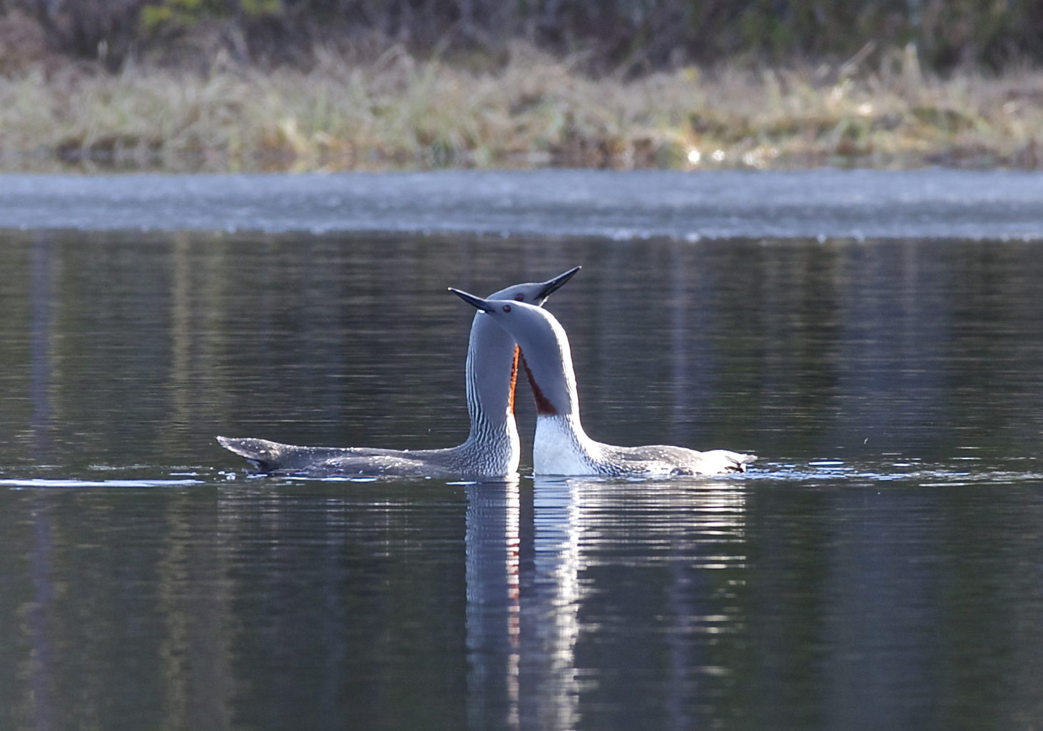 Valokuvaaja: Jari Läylönen