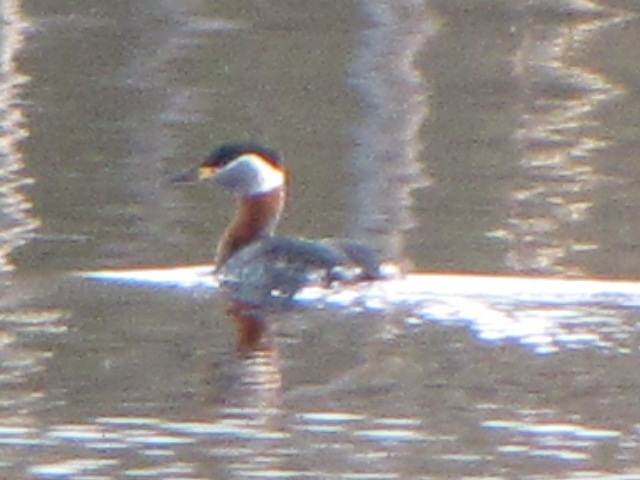 Valokuvaaja: Tuula  Makkonen