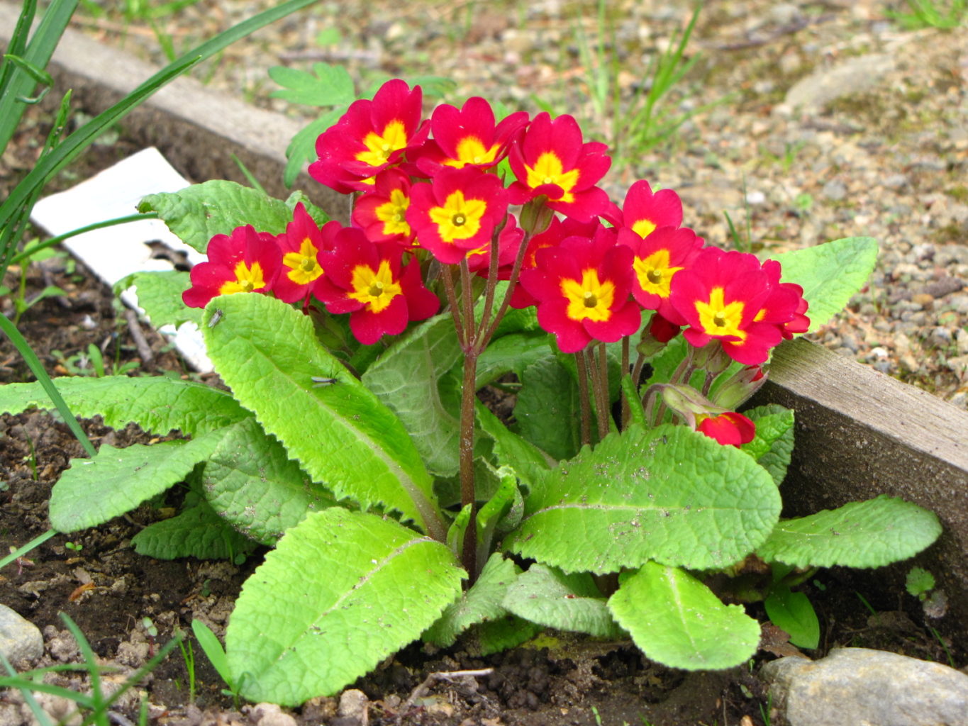 Valokuvaaja: Tuula  Makkonen