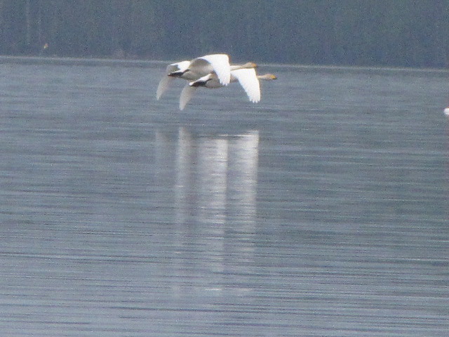 Valokuvaaja: Tuula  Makkonen