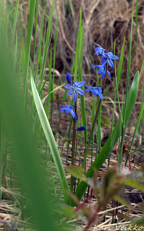 Valokuvaaja: Kari Veikko