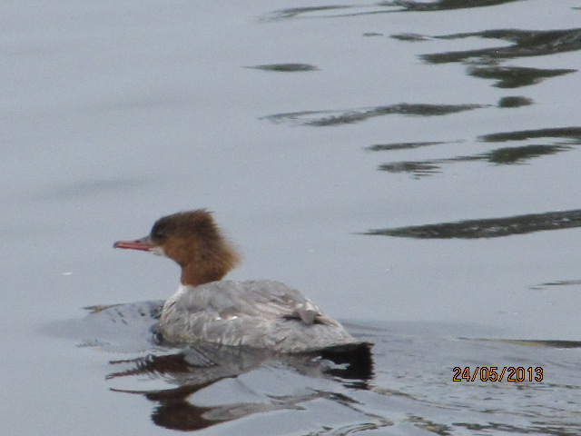 Valokuvaaja: Tuula Makkonen