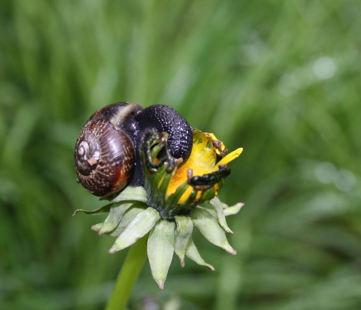 Valokuvaaja: Katja Tammenlehto