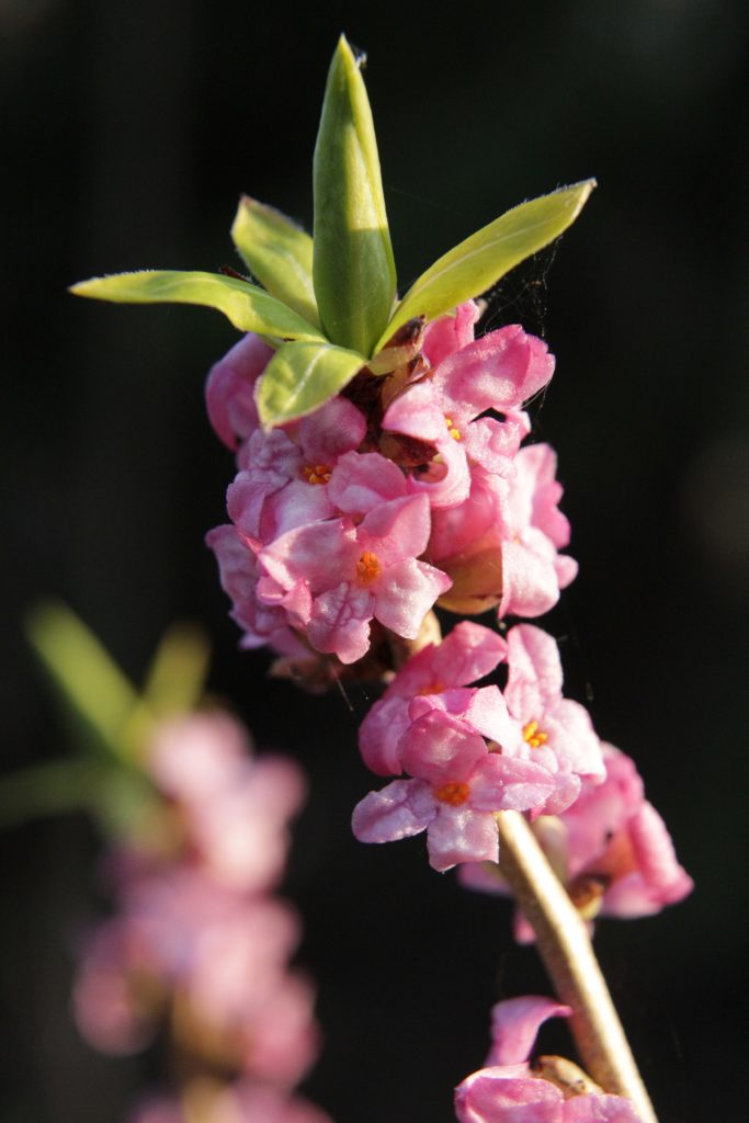 Valokuvaaja: Sanna Tarmi