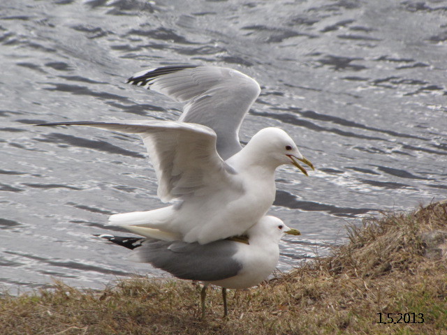 Valokuvaaja: Tuula Makkonen Valokuvaaja: Tuula Makkonen