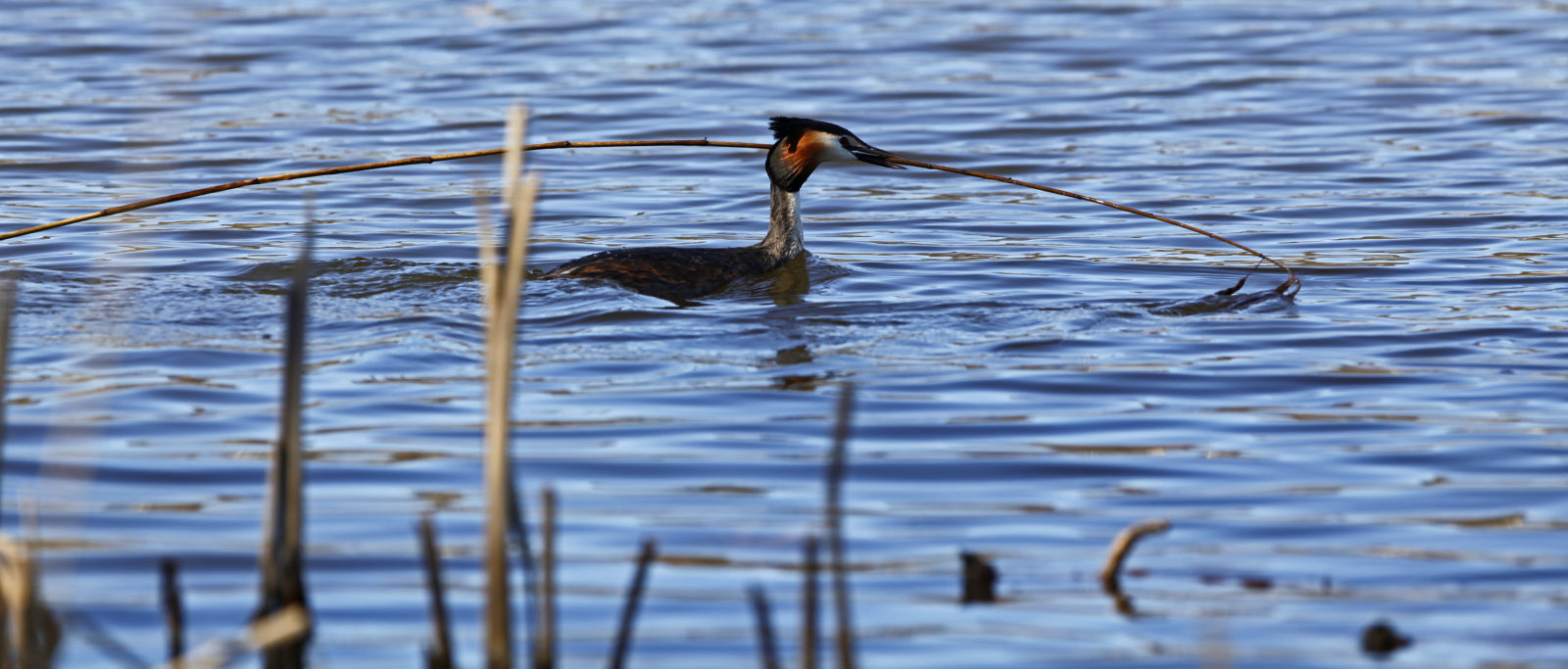 Valokuvaaja: Juha Mettälä