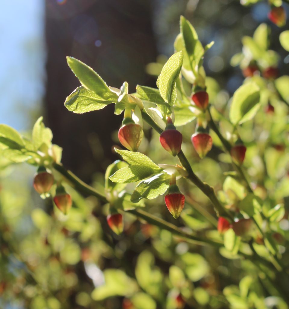 Valokuvaaja: Pirjo Hokkanen