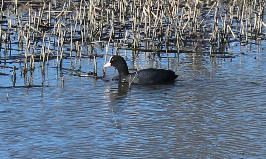 Valokuvaaja: Pirjo Hokkanen