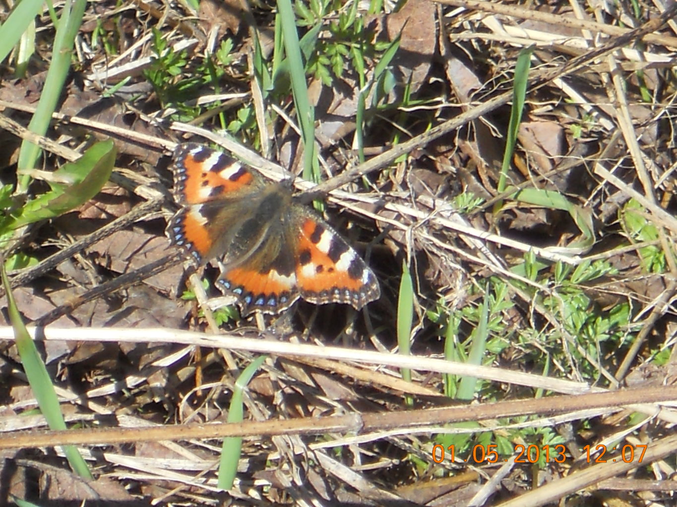 Valokuvaaja: Tiina Arlin Valokuvaaja: Tiina Arlin