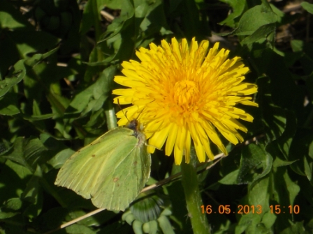 Valokuvaaja: Tiina Arlin