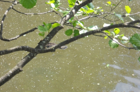 Valokuvaaja: Tiina Arlin