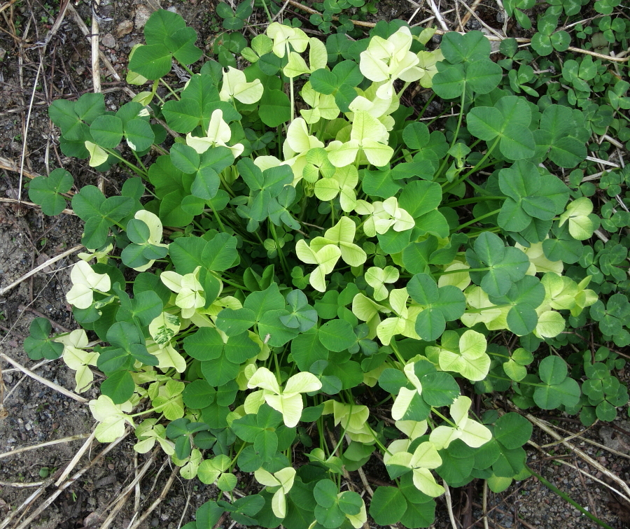 Valokuvaaja: Hanna Järvinen