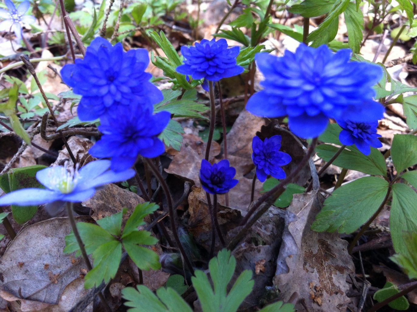 Valokuvaaja: Marjatta Laine