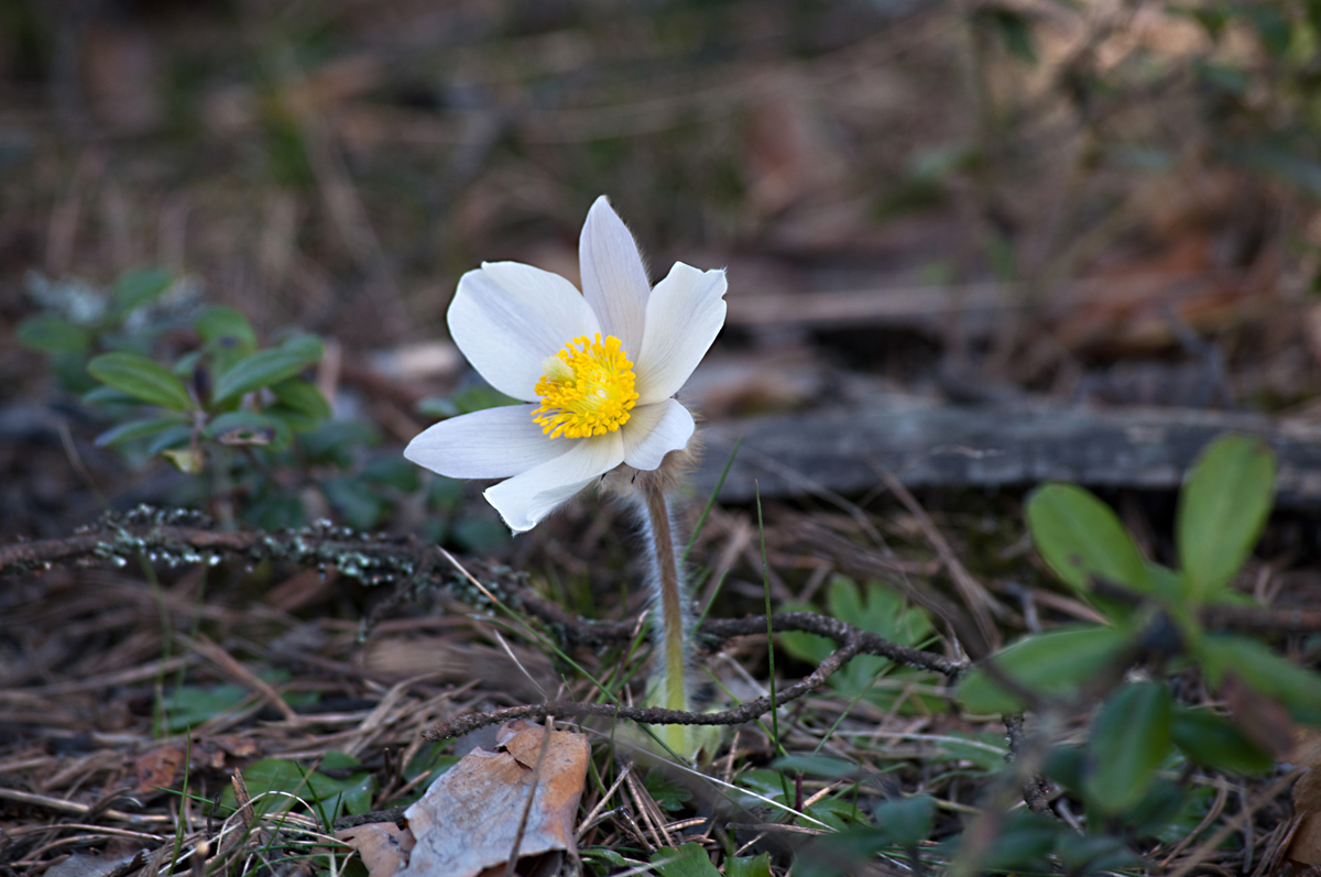 Valokuvaaja: Tuula Laakso