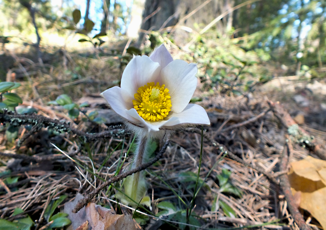 Valokuvaaja: Tuula Laakso