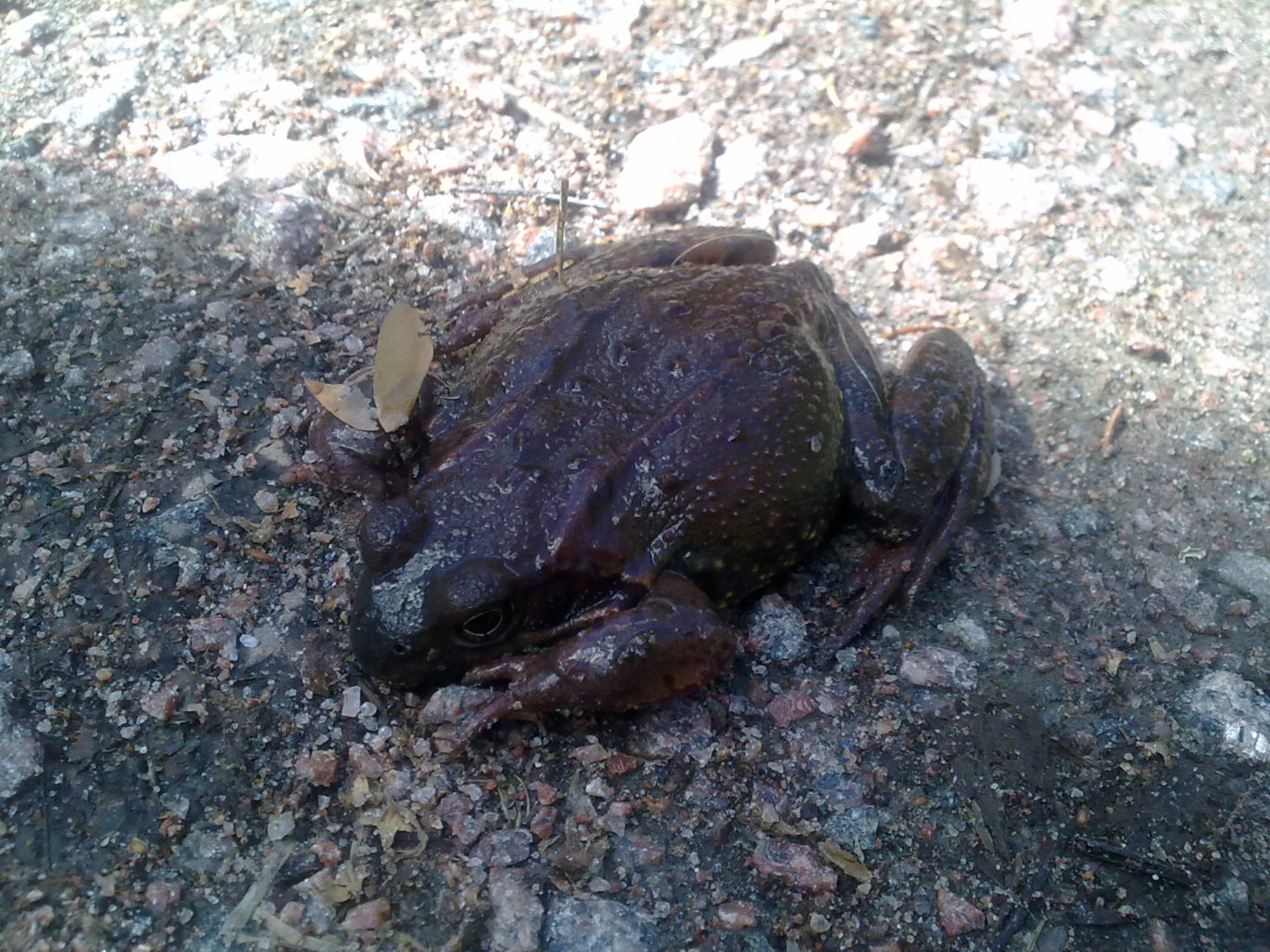 Valokuvaaja: Irene Paavilainen