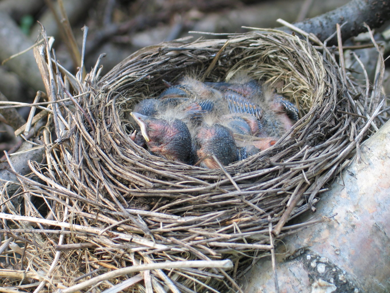 Valokuvaaja: Riika Vilkko Valokuvaaja: Riika Vilkko