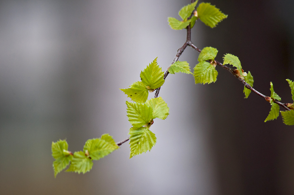 Valokuvaaja: Tuula Laakso