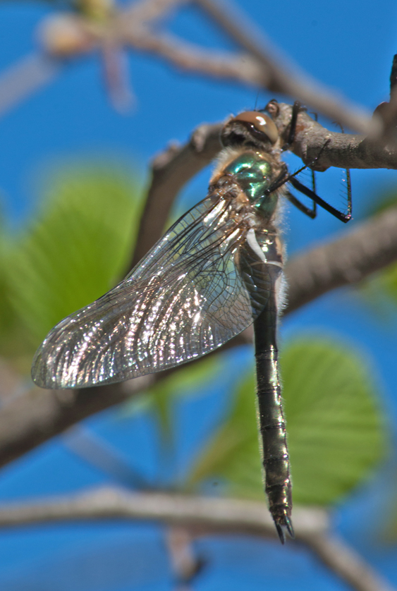 Valokuvaaja: Tuula Laakso