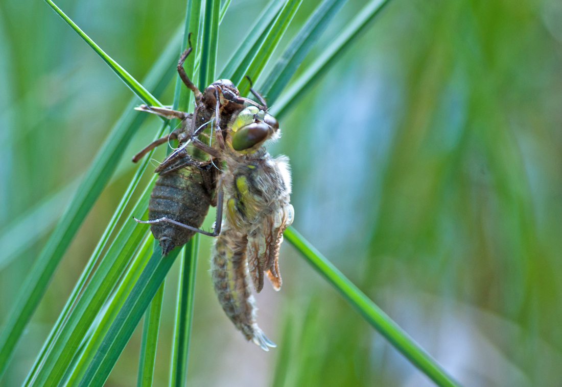 Valokuvaaja: Tuula Laakso