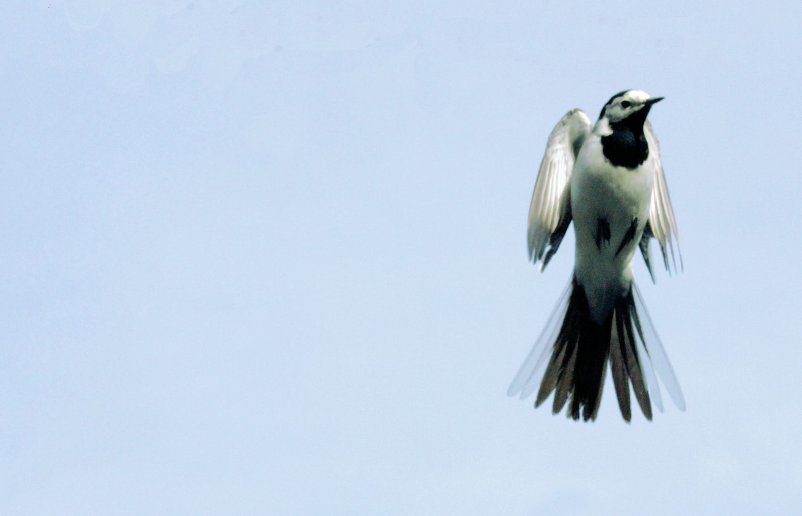 Valokuvaaja: Satu Mali