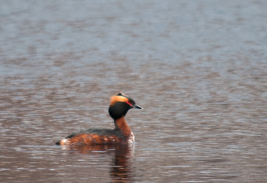 Valokuvaaja: Tuula Laakso