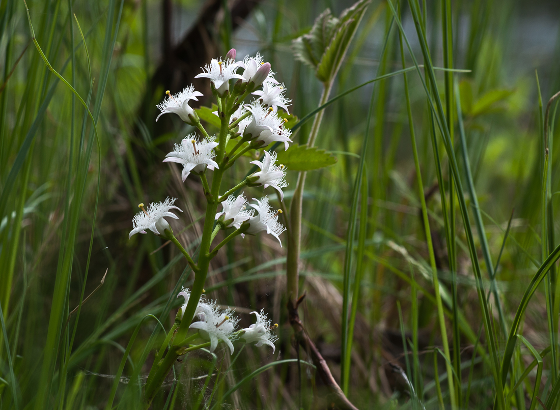 Valokuvaaja: Tuula Laakso