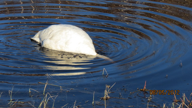 Valokuvaaja: lea mäyrä Valokuvaaja: lea mäyrä