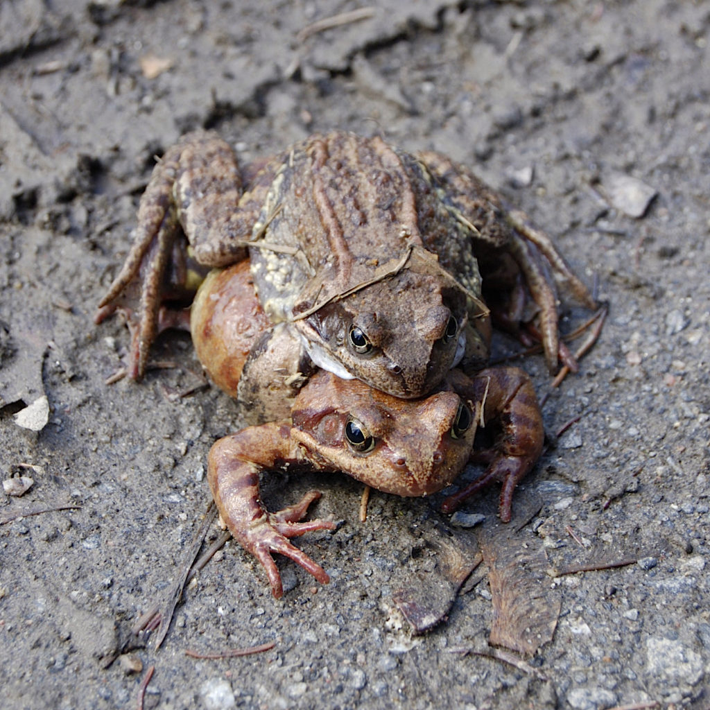 Valokuvaaja: Jouni Korhonen