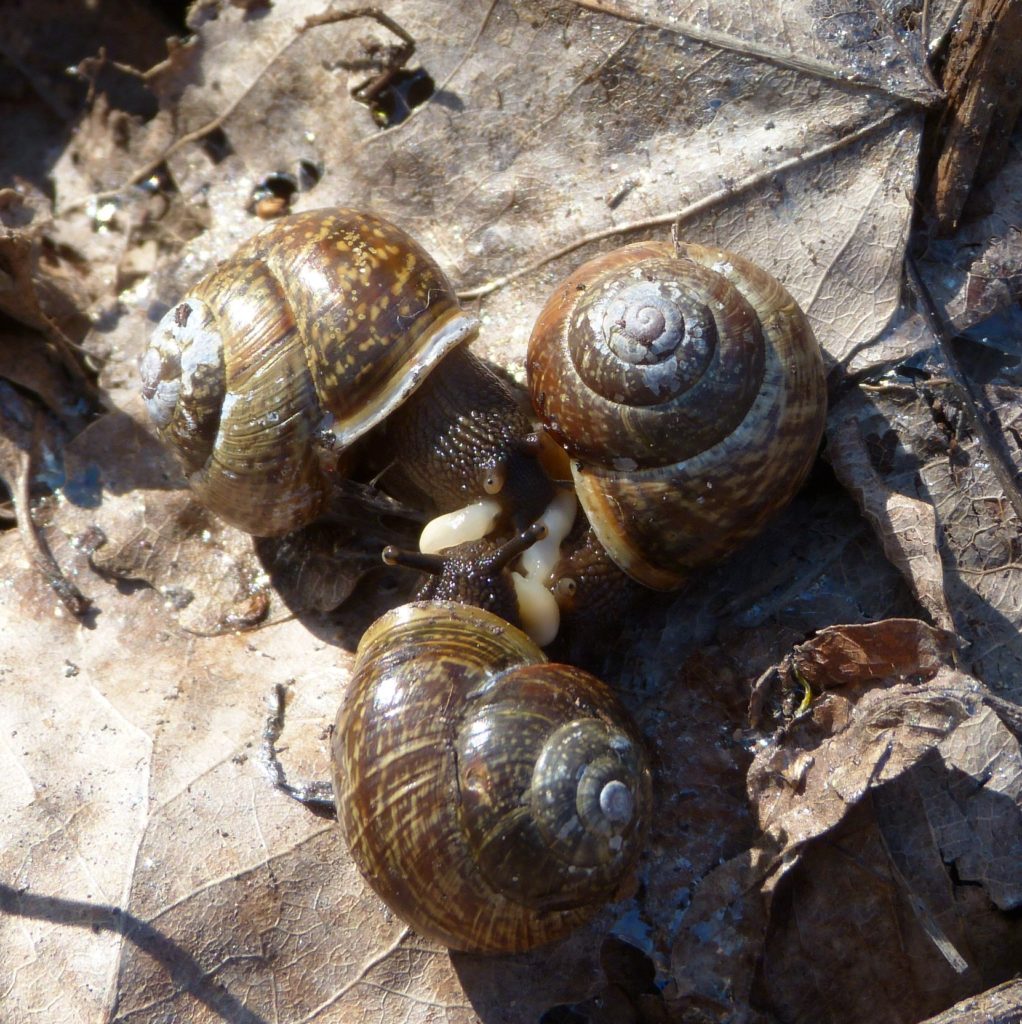 Valokuvaaja: Mari Vesterinen