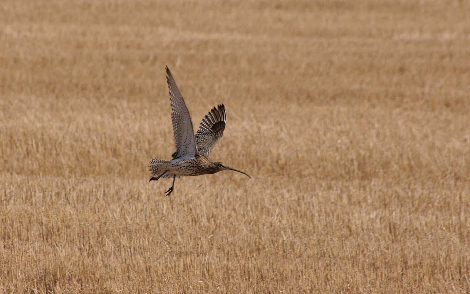 Valokuvaaja: Tytti Anttila