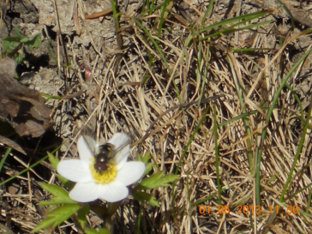 Valokuvaaja: Tiina Arlin