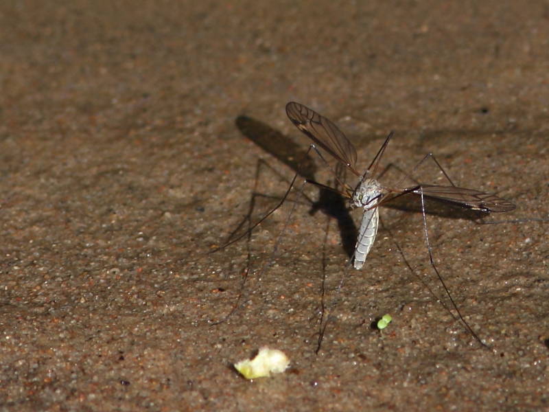 Valokuvaaja: Hanna Järvinen