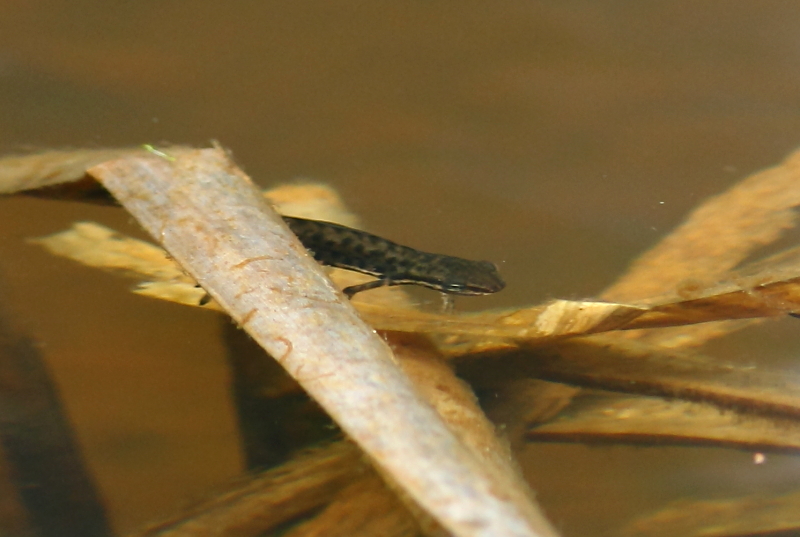 Valokuvaaja: Hanna Järvinen