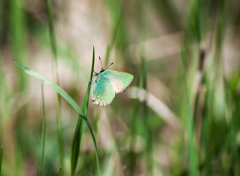 Valokuvaaja: Tuula Laakso Valokuvaaja: Tuula Laakso