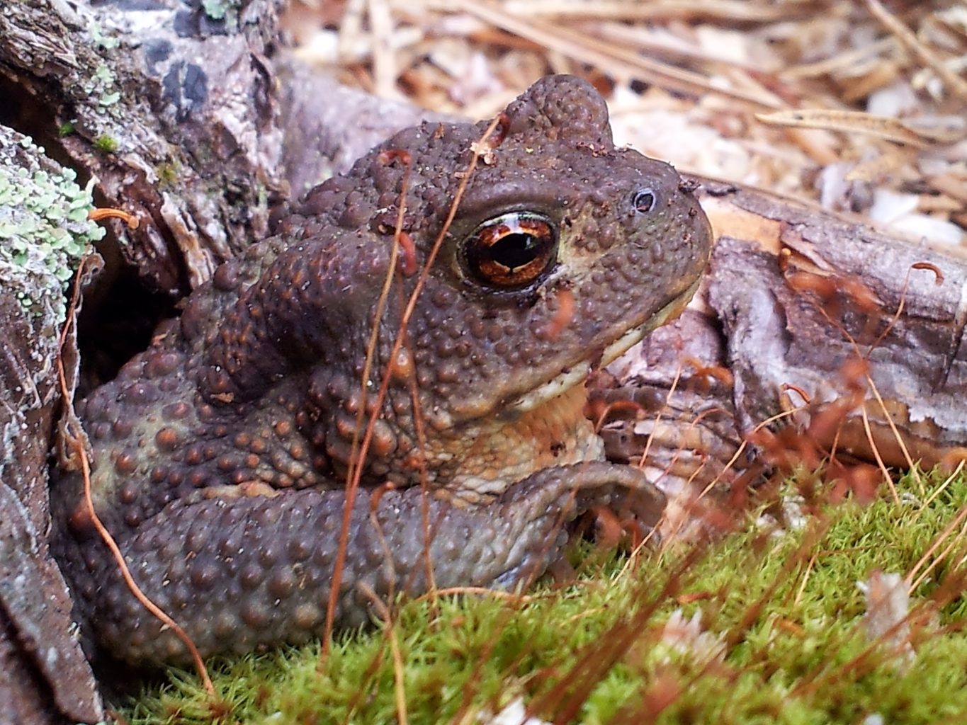 Valokuvaaja: Tuulikki Piikkilä