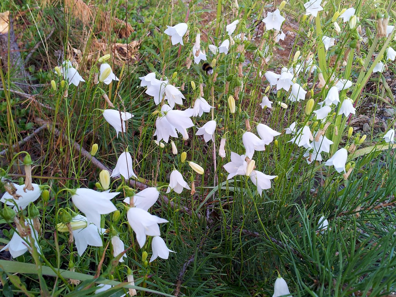 Valokuvaaja: Tuulikki Piikkilä