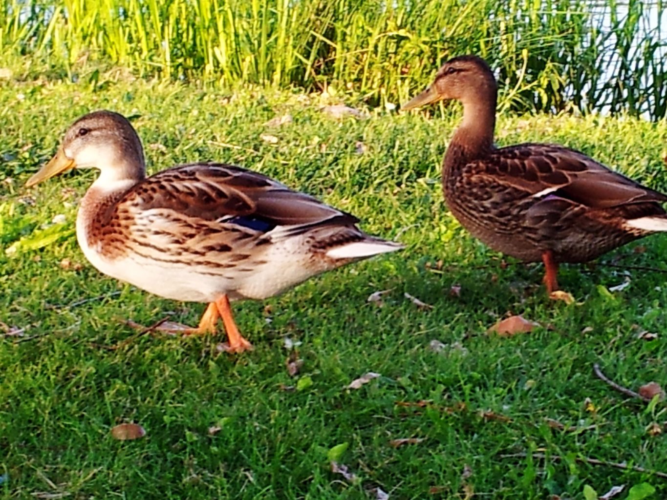 Valokuvaaja: Tuulikki Piikkilä