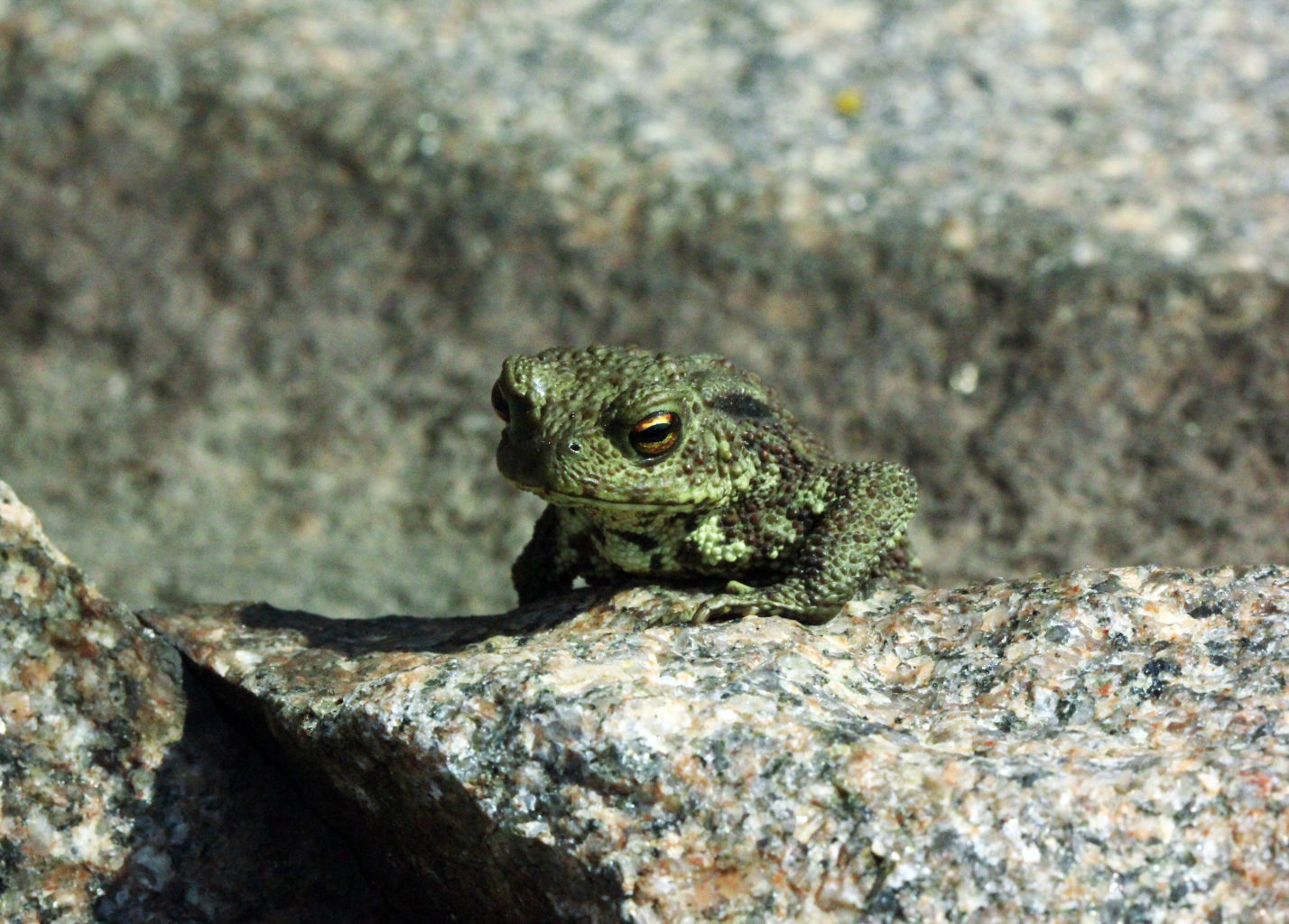 Valokuvaaja: Satu Mali