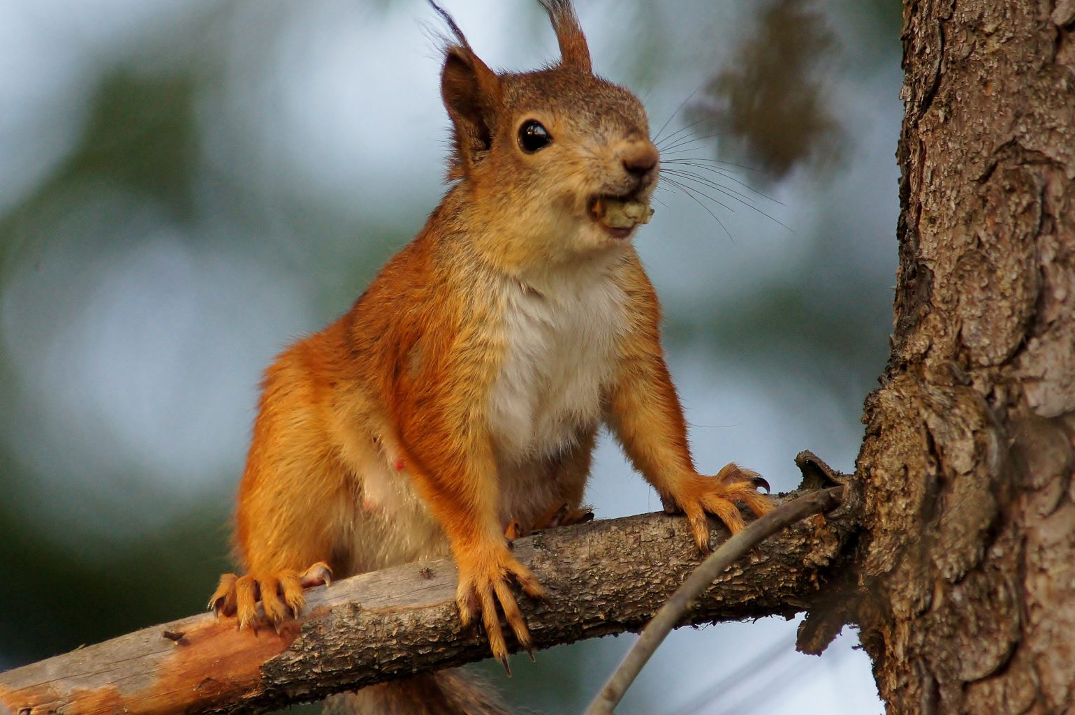 Valokuvaaja: Tuulikki Piikkilä