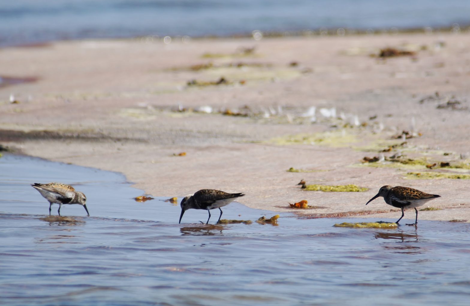 Valokuvaaja: Tuulikki Piikkilä